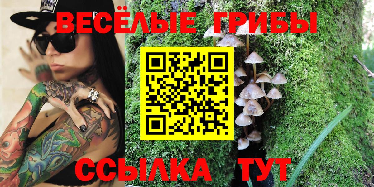 Псилоцибиновые грибы Magic Shrooms Лысьва